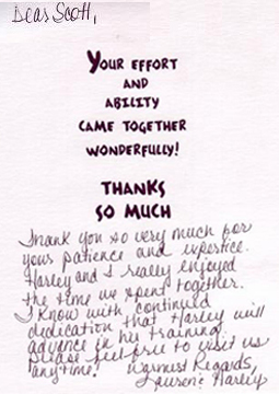 The Trained Canine in New Jersey | Dog Training